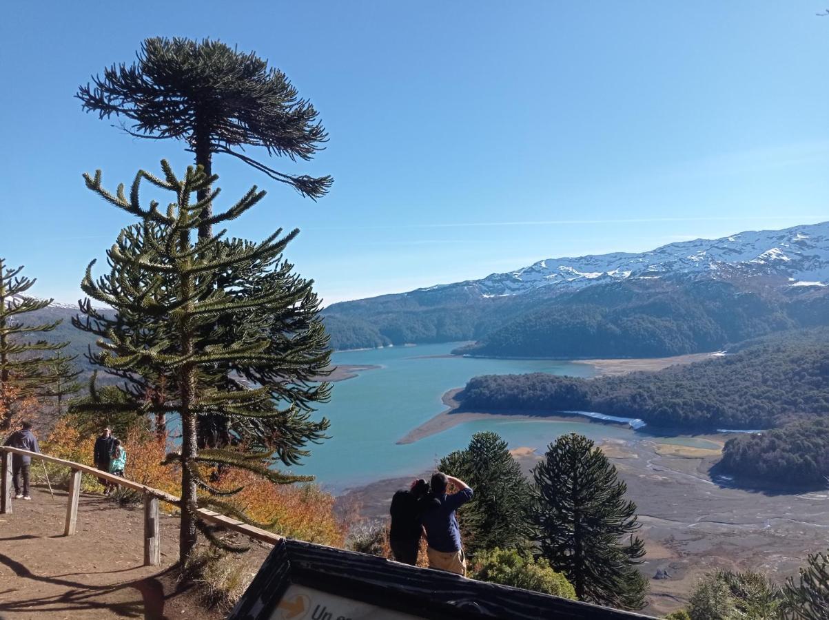 Cabana Kineco Melipeuco Extérieur photo